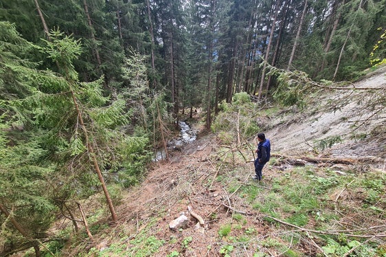 Archivbild: Rutschung nach Starkregen am Bacheinhang des Gruipbaches (Foto: LPA/Amt für Wildbach- und Lawinenverbauung Ost in der Agentur für Bevölkerungsschutz)