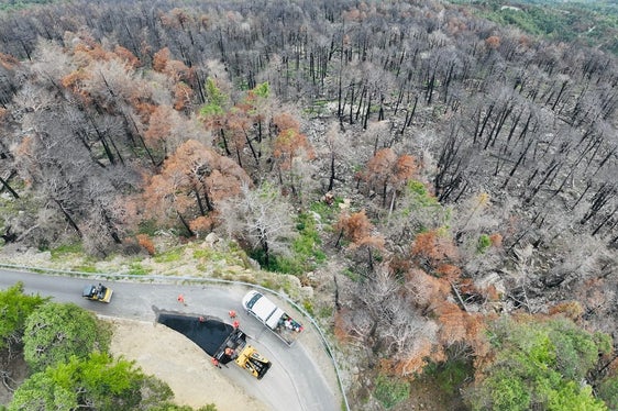 Esattamente un anno fa, il 6 marzo 2025, un tratto di 90 ettari di bosco sopra Laces è bruciato. Gli operai della stazione forestale di Laces hanno immediatamente iniziato a risanare l'intera area. (Foto: USP/Ispettorato forestale di Silandro)
