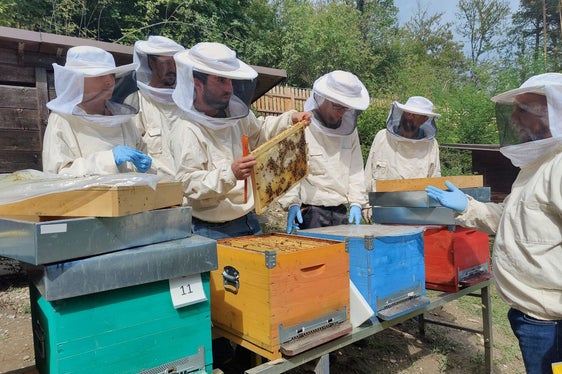 I partecipanti a un corso di apicoltura imparano come si comportano le api e come seguirle per garantire il loro benessere. (Foto: Istituto tecnico Laimburg/Klaus Blasbichler)