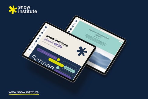 Snow institute è una piattaforma bilingue che fornisce informazioni su neve, ghiaccio e valanghe. È un progetto Arge Alp guidato dal Tirolo che oggi ha iniziato la propria attività online (Foto: Snow institute)