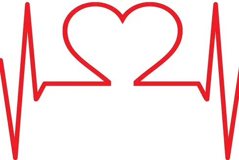 Zukünftig müssen Gesundheitsvereinigungen bis spätestens 18. Dezember um Landesbeiträge ansuchen. (Foto: Pixabay/InspiredImages)