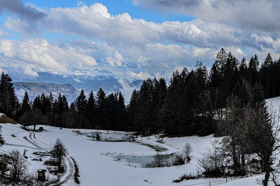 Bilder des Monats Jänner 2025: Blick von Platzers bei Tisens Richtung Dolomiten, Foto: Martin Geier