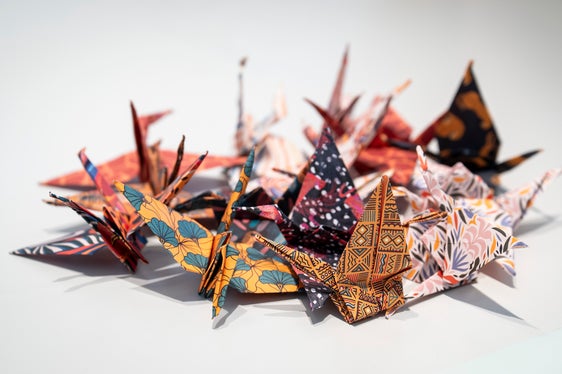 Quattro studentesse della classe 1. A della scuola media “Adalbert Stifter” di Bolzano hanno consegnato al presidente della Provincia Arno Kompatscher una ghirlanda composta da gru di carta. (Foto: USP/Fabio Brucculeri)