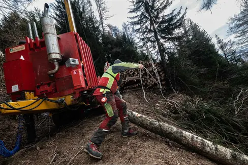 Vier Millionen Euro für die Forstwirtschaft, um welche bereits angesucht wurde, können jetzt aus dem ELR-Topf ausbezahlt werden. Der Beschluss wurde heute (23. Mai) verlängert. (Foto: LPA/Ivo Corrá)