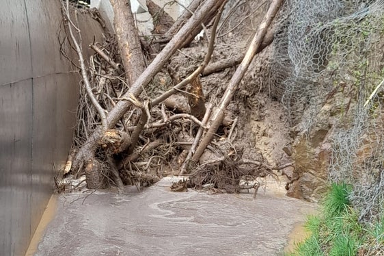 Die Hangschutzvorrichtungen haben bei einem Erdrutsch auf der Landesstraße in Ulten einen Großteil des Materials aufgefangen. (Foto: LPA/Landesstraßendienst)