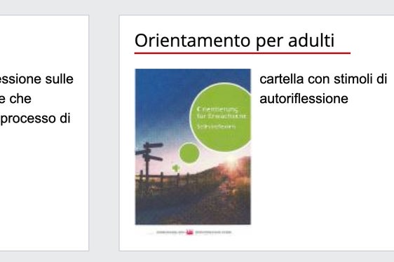 Alcuni dei servizi accessibili sulla pagina del Servizio orientamento provinciale. (Foto: ASP)