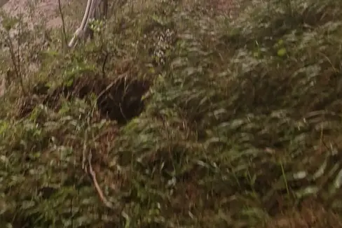 A seguito della frana causata da un temporale tra Fleres e Colle Isarco, il traffico ferroviario sulla linea del Brennero rimane limitato. La frana si è verificata martedì sera in un’area boschiva sopra la linea ferroviaria ed è stata contenuta dalle reti paramassi. (Foto: USP/Dipartimento Infrastrutture e Mobilità)