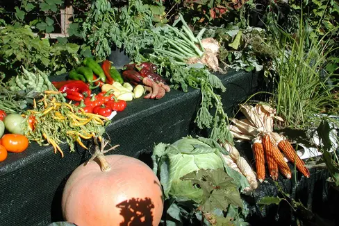 Die Ernährungssouveränität wird für Europa in den kommenden Jahren eine zentrale Frage, es gilt, in die Produktivität der Landwirtschaft zu investieren. Mit dem Thema Landwirtschaft und Ernährung befasst sich eine Tagung am 4. April in Bozen. (Foto: LPA/Fachschule für Obst-, Wein- und Gartenbau Laimburg)