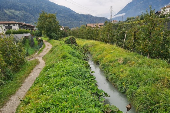 Das Landesamt für Wildbach- und Lawinenverbauung West beginnt nun wieder mit den Arbeiten zur hydraulischen Sicherung und Erhöhung des Hochwasserschutzes des Mühlbaches, im Hintergrund die neu zu verbauende Strecke. (Foto: LPA/Landesamt für Wildbach- und Lawinenverbauung West in der Agentur für Bevölkerungsschutz/Martin Eschgfäller)