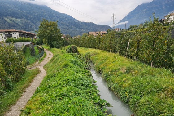 L'Ufficio sistemazione bacini montani ovest riprende i lavori per la messa in sicurezza idraulica e l'aumento della protezione dalle piene del torrente Mühl. (Foto: USP/Ufficio sistemazione bacini montani ovest/Martin Eschgfäller)