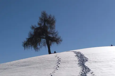 Dieser heute ausklingende Jänner war im Großteil Südtirols zu warm, heißt es im Monatswetterrückblick des Landeswetterdienstes in der Agentur für Bevölkerungsschutz. Das Bild entstand Mitte des Monats am Wallneregg am Ritten. (Foto: LPA/Maja Clara)
