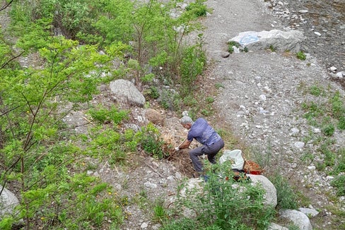 Le piante neofite possono andare ad occupare gli habitat della vegetazione autoctona: Peter Rainer, collaboratore dell'Ufficio Natura, rimuove l'erba della pampa sudamericana sulla sinistra orografica del Falschauer. (Foto: ASP/Ufficio Natura)