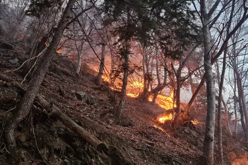 Feuer im Wald oder in Waldnähe sind ein großes Risiko - Herz-Jesu-Feuer müssen gemeldet werden. Die Abteilung Forstdienst mahnt trotz der ergiebigen Niederschläge der letzten Wochen zu Vorsicht. (Foto: LPA/Abteilung Forstdienst)