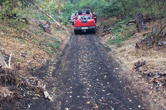 Die Gruppe aus sechs Berufsfeuerwehrmännern, vier Mitgliedern Freiwilliger Feuerwehren des unteren und oberen Vinschgaus und ein Amtsdirektor des Landesforstkorps im Brandgebiet fuhren an die Hänge des Vesuvs. (Foto: LPA/Berufsfeuerwehr Bozen)