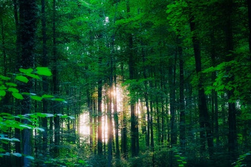 EXPLORE : Unter diesem Motto finden am Samstag, 14. September, in allen sieben Südtiroler Naturparks geführte Wanderungen für Familien statt. (Foto: Landesamt für Natur)
