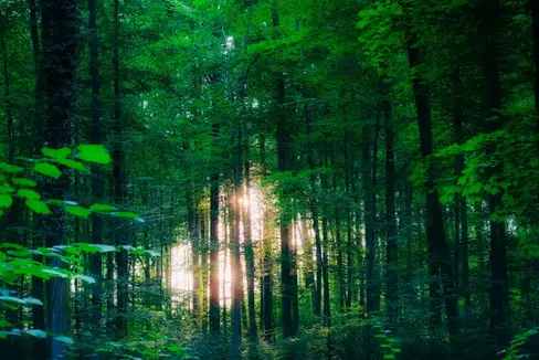 EXPLORE : Unter diesem Motto finden am Samstag, 14. September, in allen sieben Südtiroler Naturparks geführte Wanderungen für Familien statt. (Foto: Landesamt für Natur)