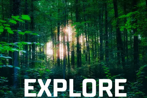 EXPLORE : Unter diesem Motto finden am Samstag, 14. September, in allen sieben Südtiroler Naturparks geführte Wanderungen für Familien statt. (Foto: Landesamt für Natur)