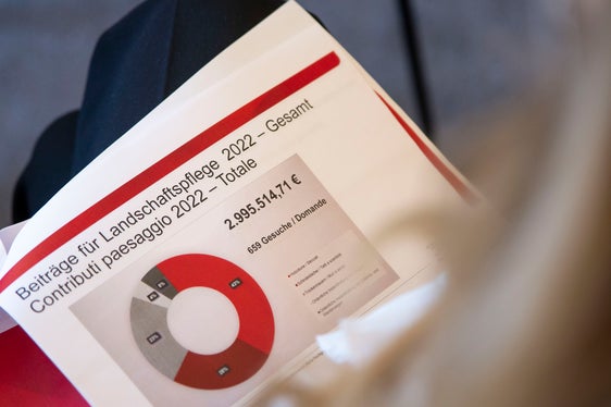 Großes Interesse: Knapp 3 Millionen Euro an Landschaftspflegebeiträgen wurden im vergangenen Jahr ausbezahlt. (Foto: LPA/Fabio Brucculeri)