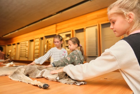 Ein vielfältiges Veranstaltungsprogramm erwartet ab 5. Mai große und kleine Besucher und Besucherinnen in Südtirols Naturparkhäusern. (Foto: LPA/Oliver Oppitz)