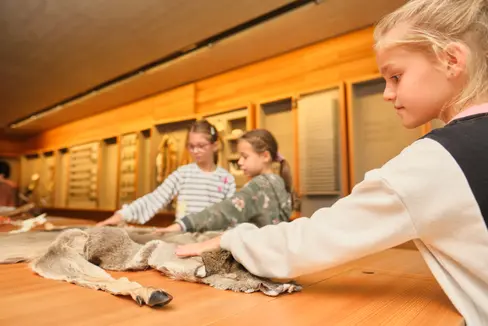 Ein vielfältiges Veranstaltungsprogramm erwartet ab 5. Mai große und kleine Besucher und Besucherinnen in Südtirols Naturparkhäusern. (Foto: LPA/Oliver Oppitz)