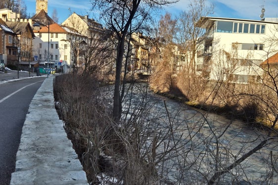 La manutenzione degli argini garantisce la protezione dalle piene e crea un habitat diversificato per piante e animali. (Foto: USP/Ufficio Sistemazione bacini montani est/Hubert Brugger)