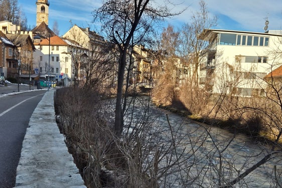 La manutenzione degli argini garantisce la protezione dalle piene e crea un habitat diversificato per piante e animali. (Foto: USP/Ufficio Sistemazione bacini montani est/Hubert Brugger)