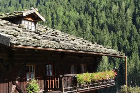 Per il mantenimento e la valorizzazione del quadro paesaggistico tradizionale la Giunta provinciale concede contributi. La domanda può essere presentata dal 1 marzo 2022 al 31 maggio 2022 (Foto: ASP/Martina Pecher)