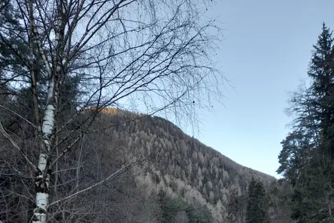 Die Landesregierung hat in ihrer Sitzung vom 30. Dezember auf Vorschlag von Landesrat Luis Walcher beschlossen, die Kriterien für die Gewährung von Beiträgen für Primärinfrastrukturen im ländlichen Raum und in Berggebieten zu genehmigen. Es gibt insgesamt mehr Geld für das ländliche Wegenetz und mehr Geld für Gemeinden mit einem großen ländlichen Wegenetz. Im Symbolbild ein Weg entlang des Vallerbaches oberhalb von Mühlbach am 26. Dezember 2024 (Foto: LPA/Maja Clara)