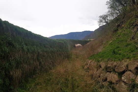 Dopo la caduta massi nella zona sud di Bronzolo, il vallo di protezione sarà nuovamente esaminato dagli esperti dell'Ufficio Geologia e prove materiali. (Foto: USP/Ripartizione Infrastrutture)