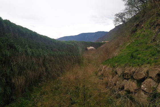 Dopo la caduta massi nella zona sud di Bronzolo, il vallo di protezione sarà nuovamente esaminato dagli esperti dell'Ufficio Geologia e prove materiali. (Foto: USP/Ripartizione Infrastrutture)