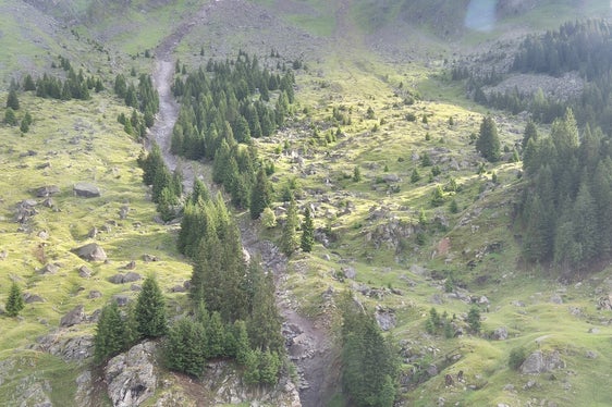Lungo il rio Höllental a Parcines sono stati sommersi dalla frana una strada forestale e l'accesso a un maso. L'Ufficio Sistemazione bacini montani ovest ha iniziato i lavori di sgombero. (Foto: USP/Ufficio Sistemazione bacini montani ovest/Roland Gufler)