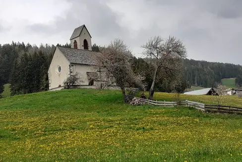 Überdurchschnittlich warm und weniger trocken war dieser Mai, heißt es aus dem Landesamt für Meteorologie und Lawinenwarnung. Das Bild entstand Anfang Mai in St. Jakob in Villnöß. (Foto: LPA/Maja Clara)