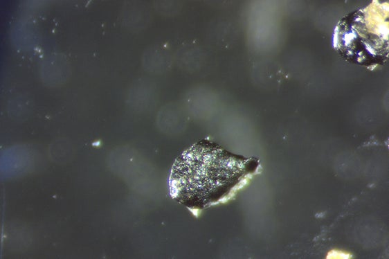 Die Mikroplastikfragmente aus den Wasserproben werden unter dem Stereomikroskop analysiert. (Foto: LPA/Landesagentur für Umwelt und Klimaschutz)