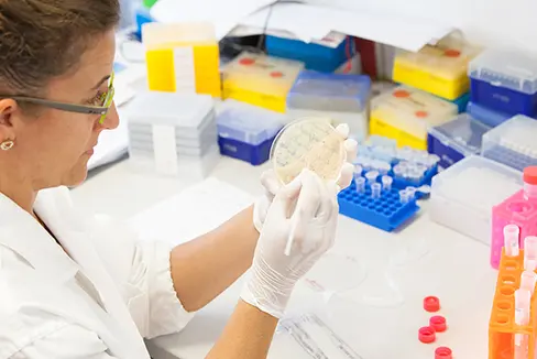 Über EU-Partnerschaften können auch Südtirols Forschungseinrichtungen von EU-Forschungsgeldern profitieren, im Bild Forschung an der Eurac in Bozen (Foto: LPA)