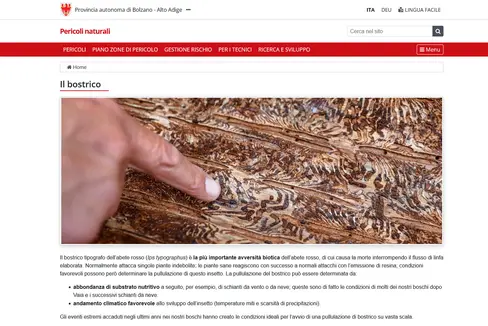 https://provincia.bz.it/bostrico: qui si trovano le informazioni dettagliate per la lotta al pericolo più grande per i boschi altoatesini (Foto: ASP)