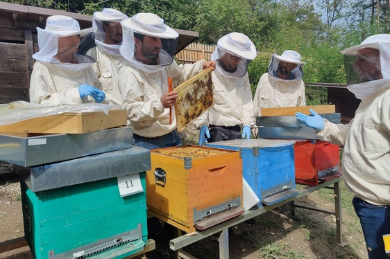 Gli apicoltori che rispettano i regolamenti sulla produzione biologica continueranno a ricevere i contributi de minimis per i controlli (Foto: Klaus Blasbichler/Scuola Agraria Laimburg)
