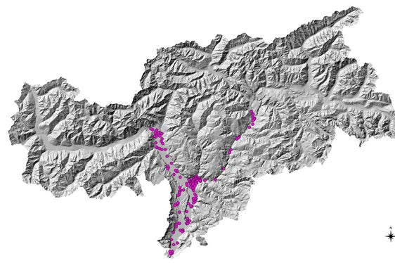 Il monitoraggio, che viene effettuato da aprile a ottobre, prevede il posizionamento nel verde pubblico di ovitrappole. Questa è la mappatura con il monitoraggio sul territorio altoatesino (Foto: APPA)