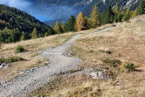 I lavori boschivi fanno parte dei compiti della Ripartizione Foreste. I lavori vengono eseguiti su iniziativa della stessa Ripartizione, ma spesso è necessario noleggiare le attrezzature: le condizioni contrattuali e il prezziario vengono adeguati annualmente dalla Giunta provinciale (Foto: ASP/Ispettorato Forestale di Monguelfo)