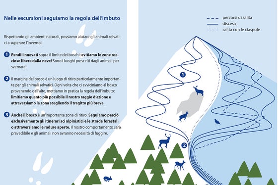 L’invito rivolto agli escursionisti è di seguire la cosiddetta “regola dell’imbuto”, ovvero: seguire in salita gli itinerari classici o le strade forestali, e in fase di discesa, evitare i pascoli e i luoghi di permanenza invernale degli animali. (Foto: ASP/Ufficio natura)