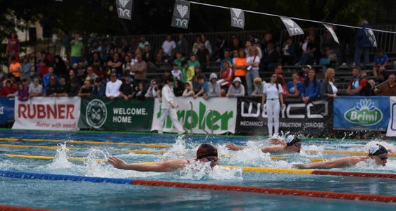 Der Euregio Swim Cup will nicht nur sportliche Leistung (im Bild in Brixen) ermöglichen, sondern auch Werte wie Durchhaltevermögen und Grenzen überwindende Freundschaft ermöglichen. (Foto: ESC/Niederwieser)
