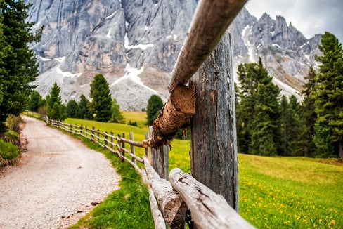 Transnature e G4B Grasslands for Biodiversity, il primo dedicato ai modelli di gestione transfrontalieri a tutela della biodiversità e l’altro allo sviluppo sostenibile di prati e pascoli ricchi di biodiversitá sono i primi due progetti cofinanziati dalla Provincia di Bolzano nell’ambito del partenariato europeo Biodiversa+ (Foto: Unsplash)