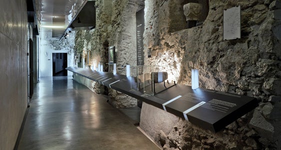 Die Ausstellung im Kloster Marienberg oberhalb von Burgeis im oberen Vinschgau ist seit 15. März zugänglich – in Zusammenarbeit mit dem Alpinarium Galtür. (Foto: René Riller)
