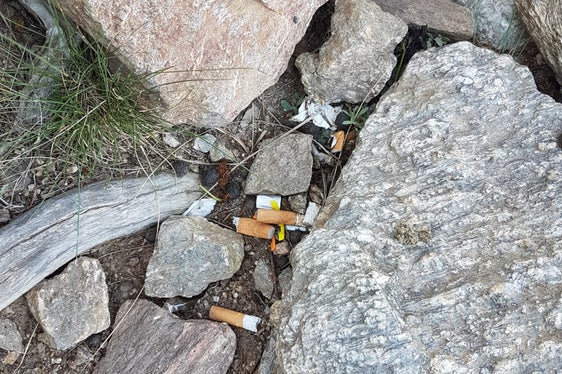 Zigarettenstummel gehören zu den häufigsten Abfällen, die im Naturraum entsorgt werden. Im Bild Zigarettenstummel neben dem Gipfelbankl am Klettersteig Hoachwool in Naturns am Rande des Naturpark Texelgruppe. (Foto: Maria Mayr)