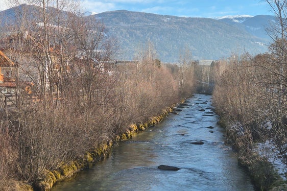 Zwei Wochen lang führt das Landesamt für Wildbach- und Lawinenverbauung Ost jetzt Schlägerungs- und Uferpflegearbeiten entlang der Rienz im Stadtgebiet Bruneck durch. (Foto: LPA/Landesamt für Wildbach- und Lawinenverbauung Ost/Hubert Brugger)