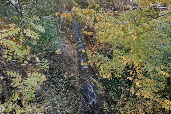 Die Künette des Trametschbachs vor der Uferpflege (Foto: LPA/Landesamt für Wildbach- und Lawinenverbauung Nord)
