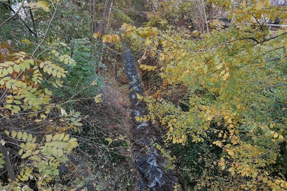 Die Künette des Trametschbachs vor der Uferpflege (Foto: LPA/Landesamt für Wildbach- und Lawinenverbauung Nord)