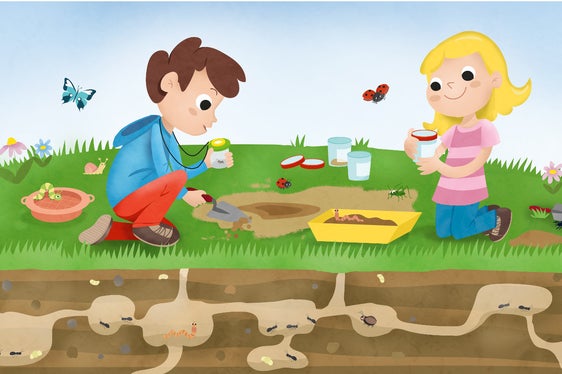 Um zwei neue Workshops - Bodenleben (im Bild) und Der Klimawandel: Verstehen und Handeln wurde das Programm Umwelt.Schule 2022-2023 erweitert. (Foto: Landesagentur für Umwelt und Klimaschutz)