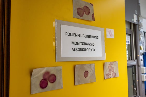 Da 30 anni, il Laboratorio biologico dell'Agenzia provinciale per l'ambiente e la tutela del clima è responsabile del monitoraggio dei pollini in Alto Adige. La sede è a Laives. (Foto: USP/Greta Stuefer)