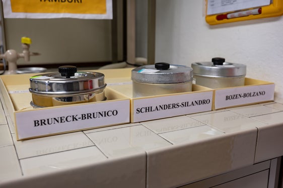 Le concentrazioni polliniche vengono analizzate a Bolzano e Silandro (tutto l'anno) e a Brunico (da gennaio a ottobre). (Foto: USP/Greta Stuefer)