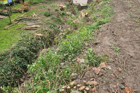 Vorbereitungsarbeiten: Mit der Ausholzung haben die Arbeiten am Tisenserbach begonnen. (Foto: LPA/Landesamt für Wildbach- und Lawinenverbauung Süd)